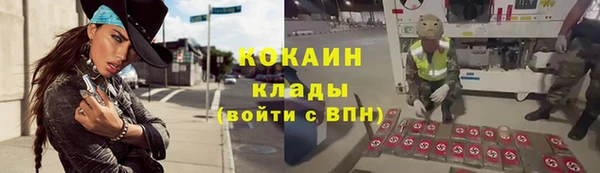 сатива Верхний Тагил