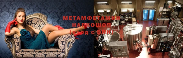 сатива Верхний Тагил