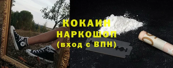 ПСИЛОЦИБИНОВЫЕ ГРИБЫ Строитель