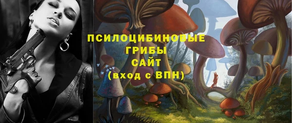 сатива Верхний Тагил